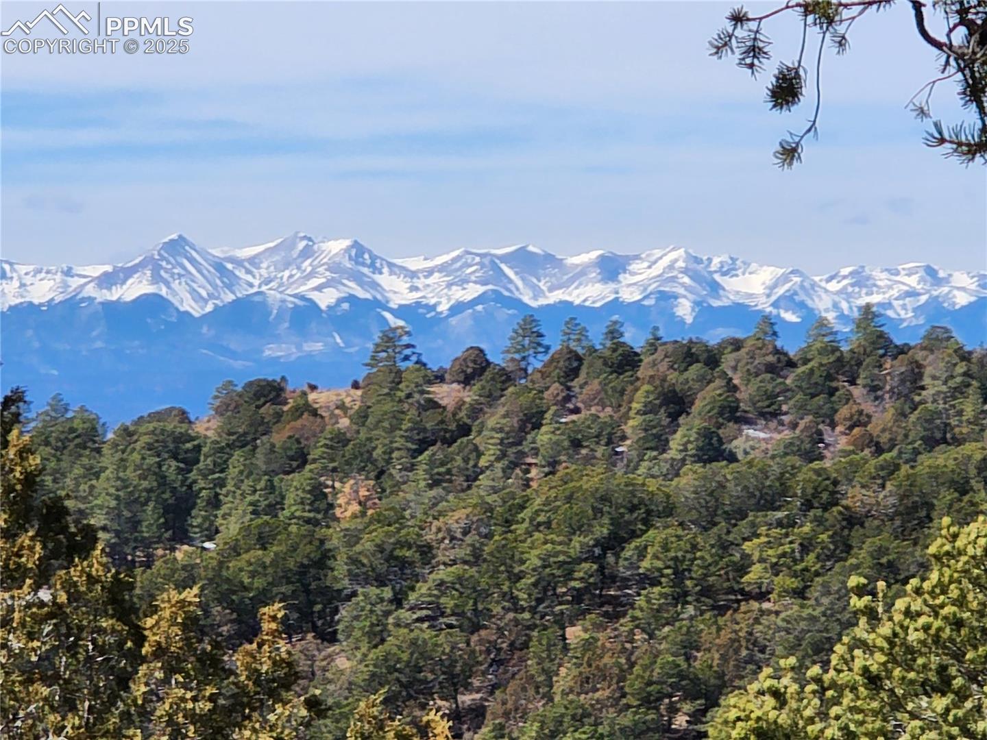 View of mountain background featuring a heavily wooded area