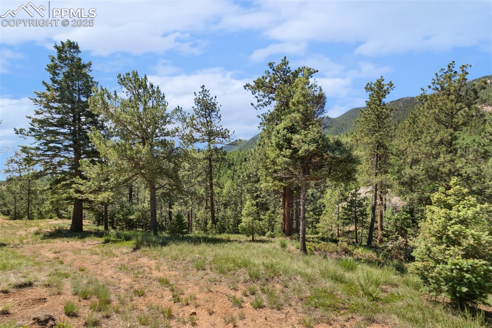 Photo 7 of 6050 Coffee Pot Road, Manitou Springs