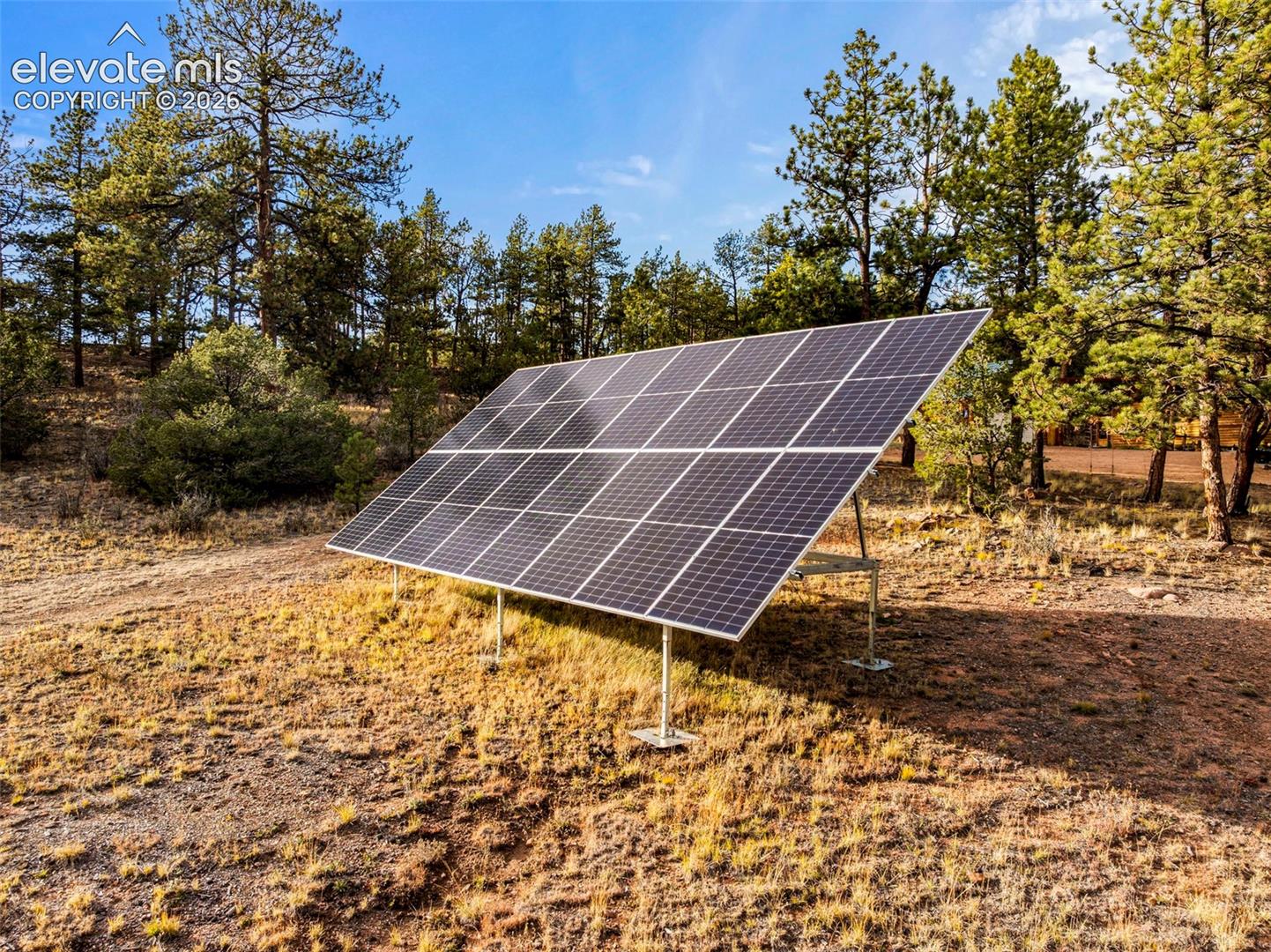 Ground-mounted solar panel array situated on a cleared lot with mature pine trees