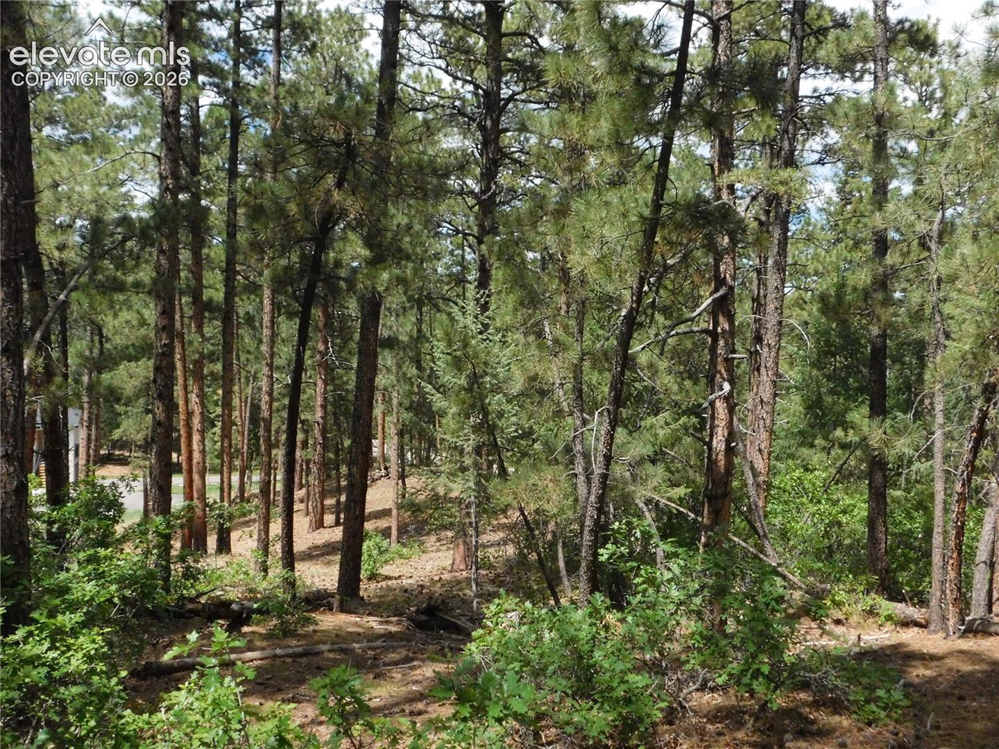 Photo 23 of 8139 Bannock Drive, Larkspur