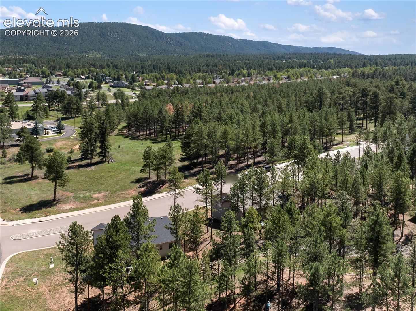 Photo 7 of 1382 Ridgestone Drive, Woodland Park