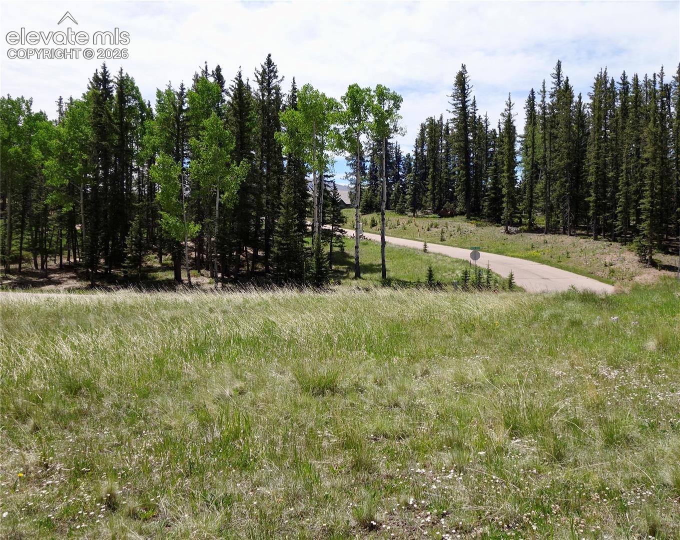 Photo 6 of 307 Pinaceae Heights, Divide