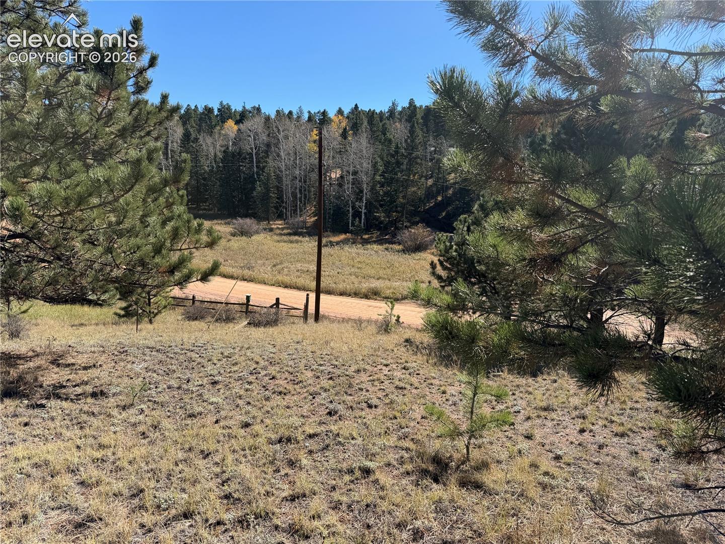 Sloping acreage featuring native grasses, mature evergreen trees, and a dirt access road