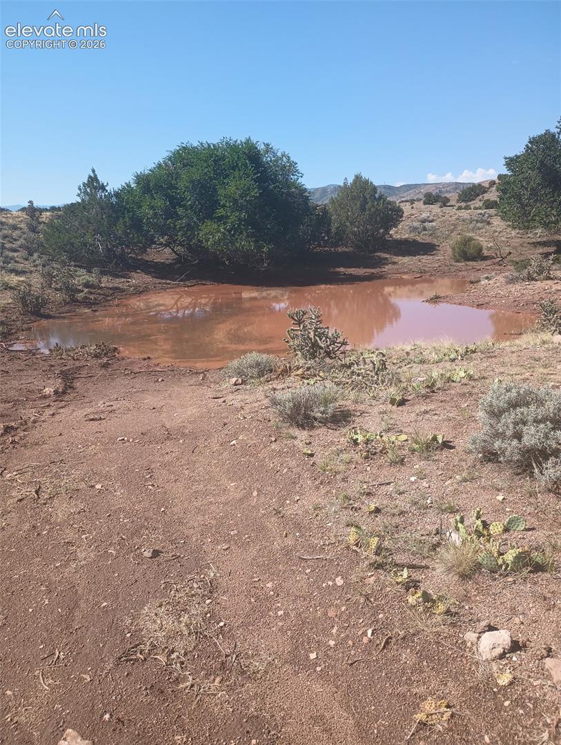 Photo 40 of 1731 County Road 69, Canon City