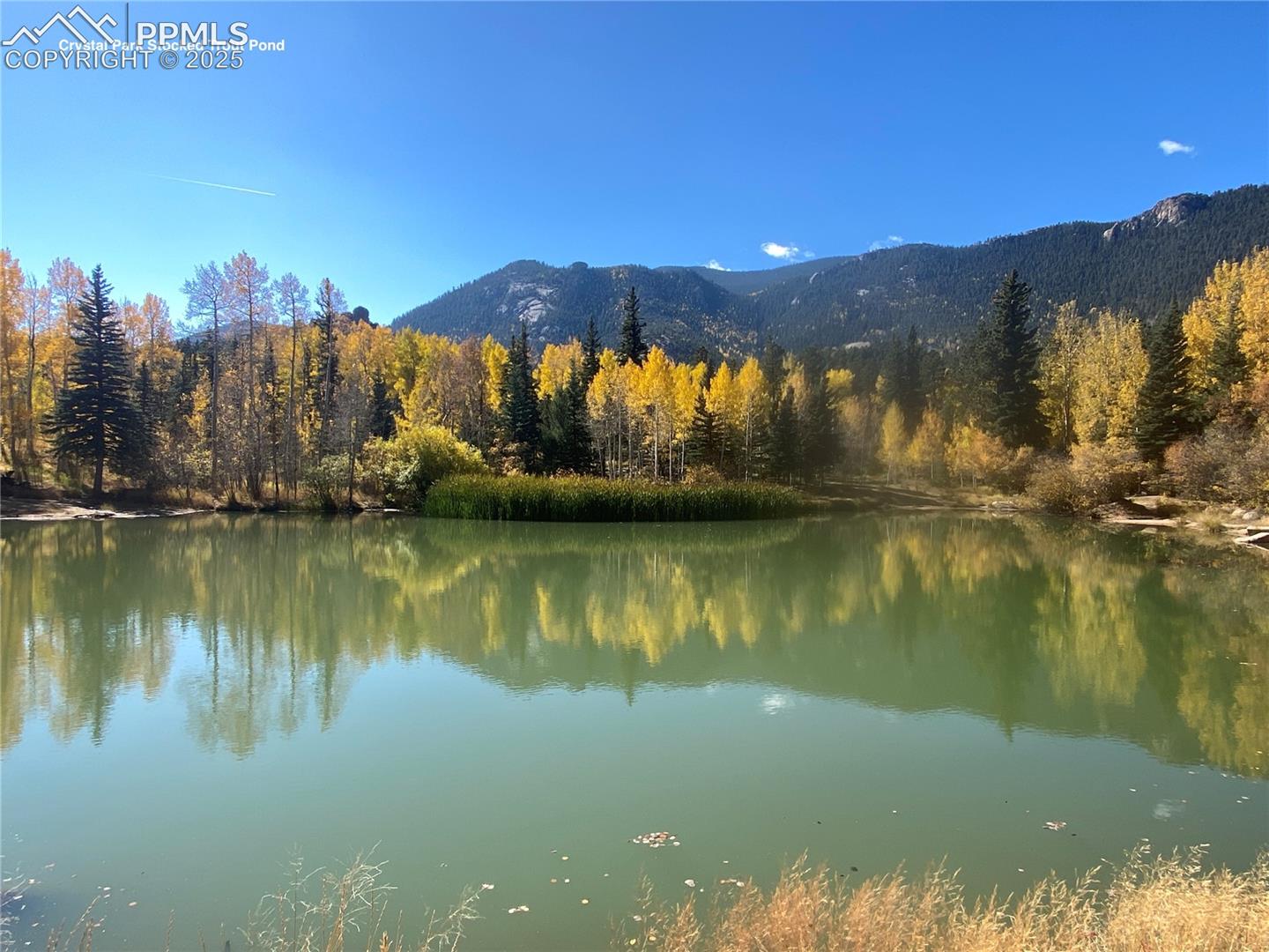 Stocked Trout Pond that doubles as an ice rink in the Winter