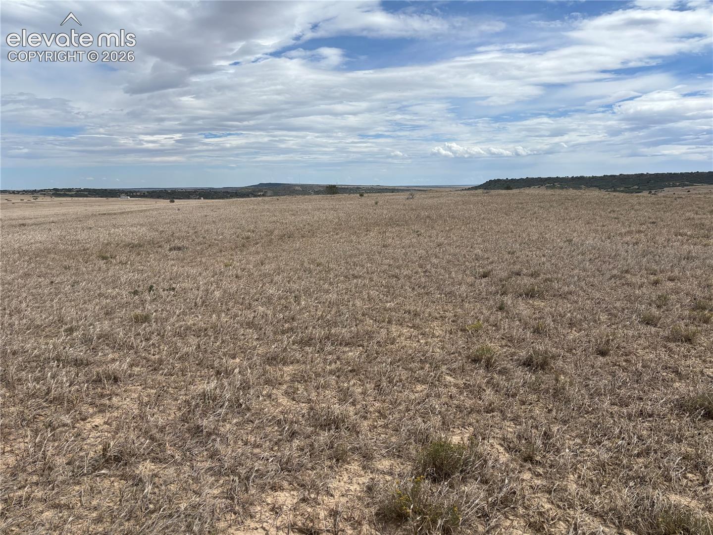 Expansive open land with natural ground cover and distant tree lines