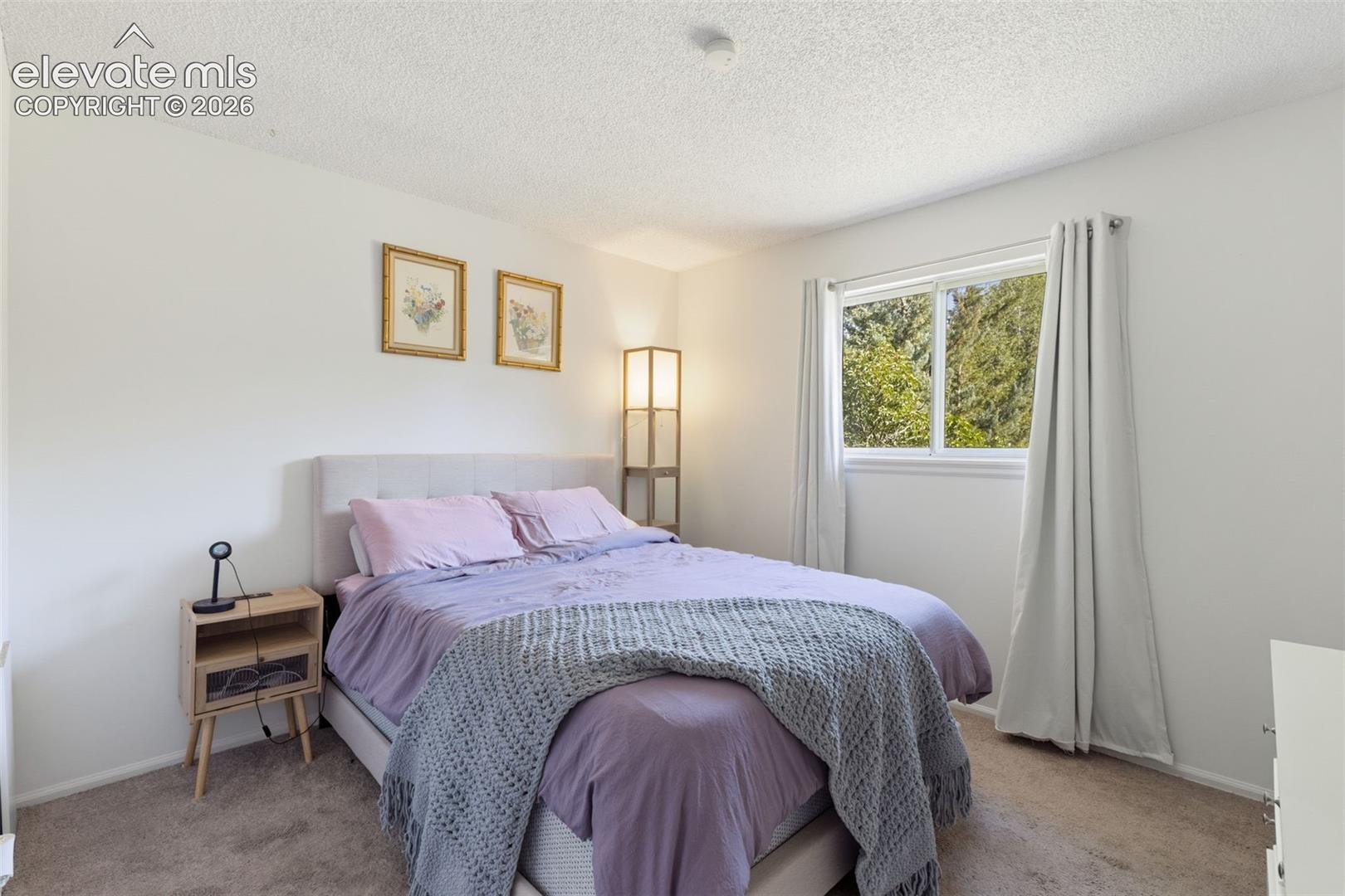 Photo 14 of 4002 Shelley Avenue, Colorado Springs