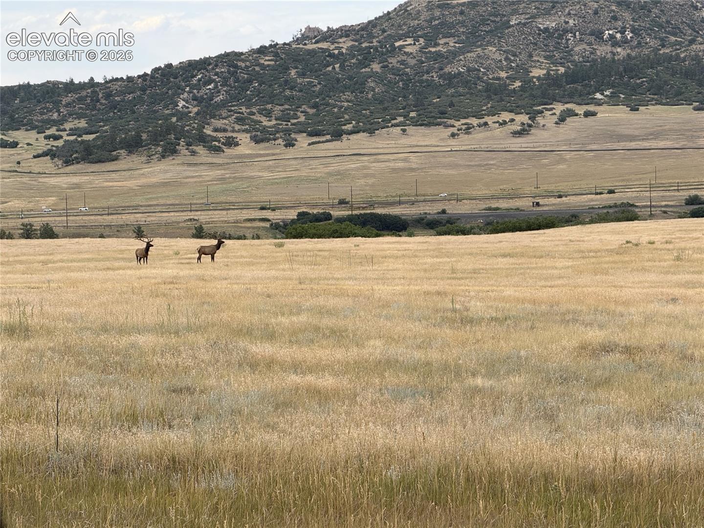 Expansive natural land featuring high grasses and distant mountainous terrain