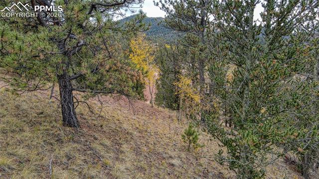 Photo 12 of 65 Portland Drive, Cripple Creek