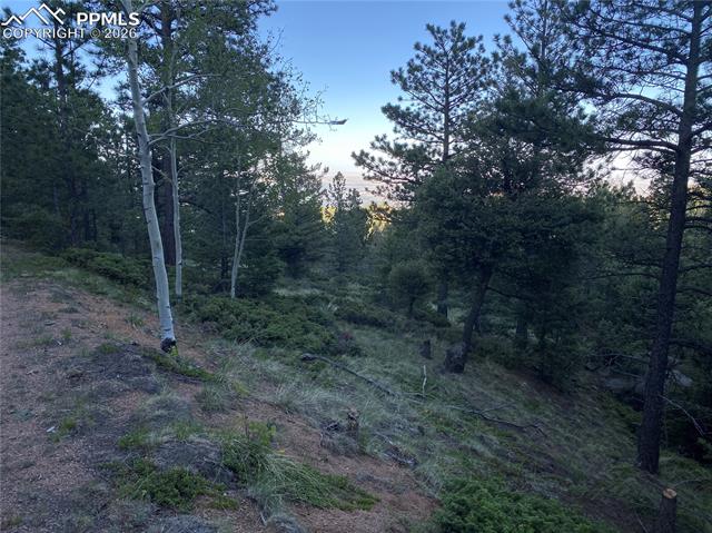 Property has towering pines, aspen & dramatic rock formations