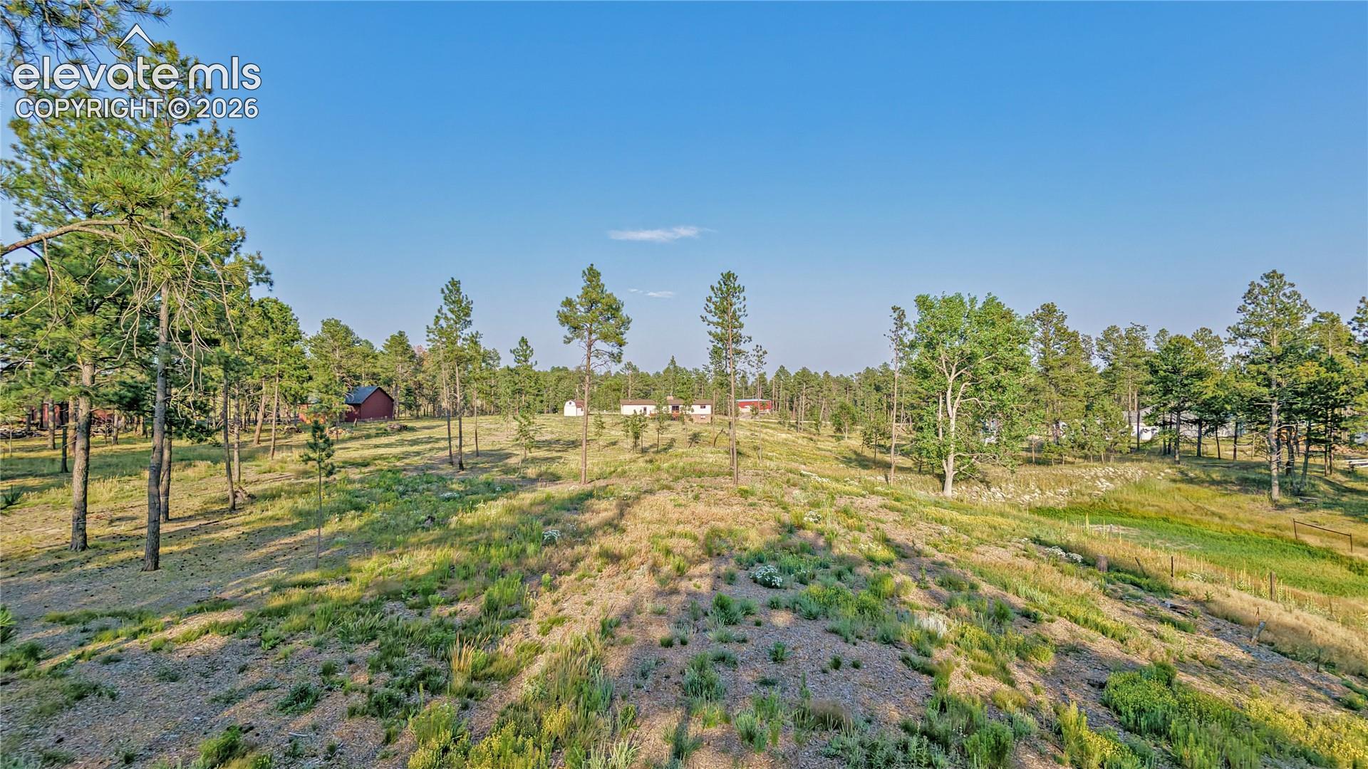 Property, looking from back of 5 acres toward house.  Seasonal pond on the right. 