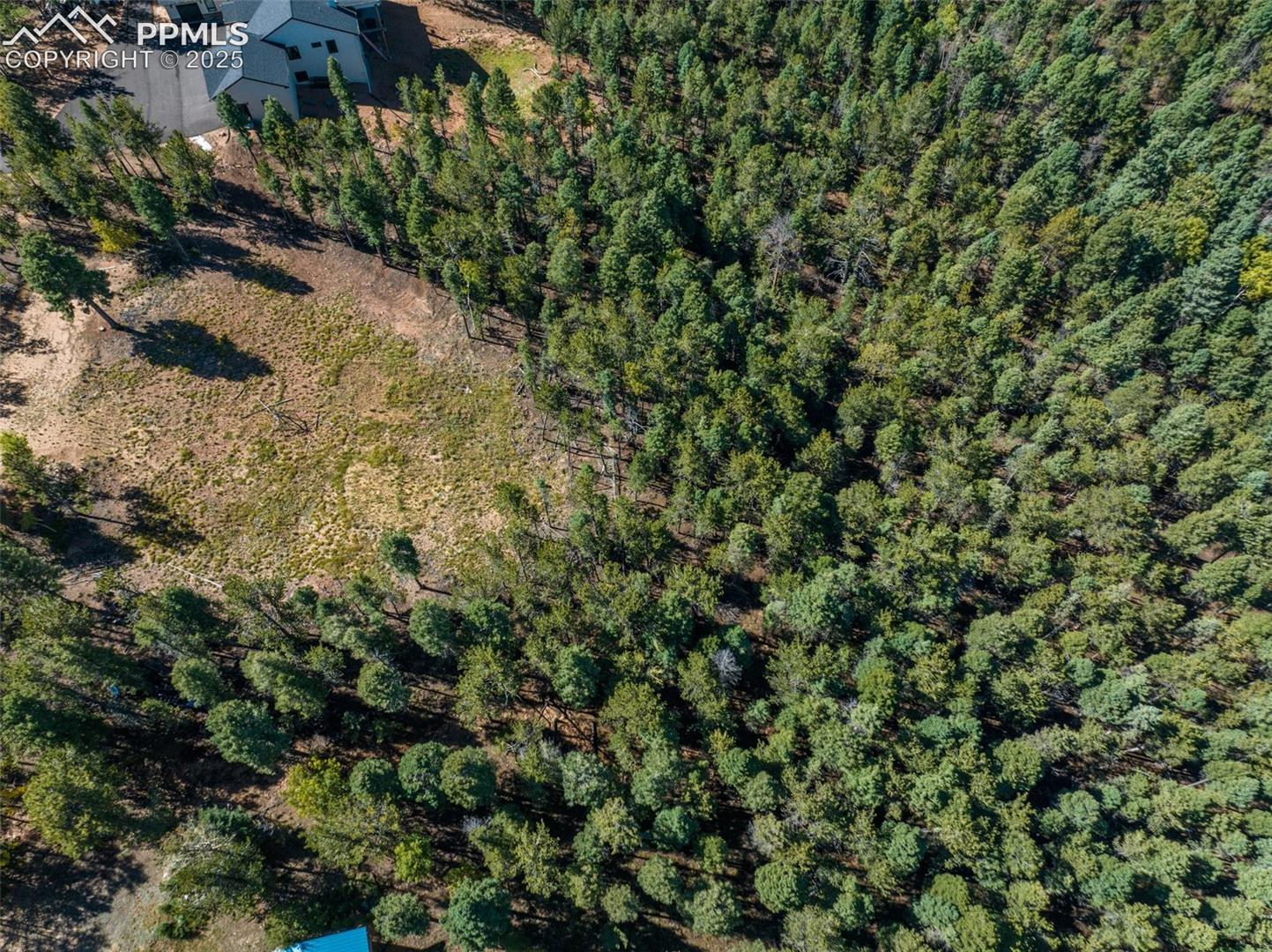 Photo 7 of 197 Parkview Drive, Woodland Park