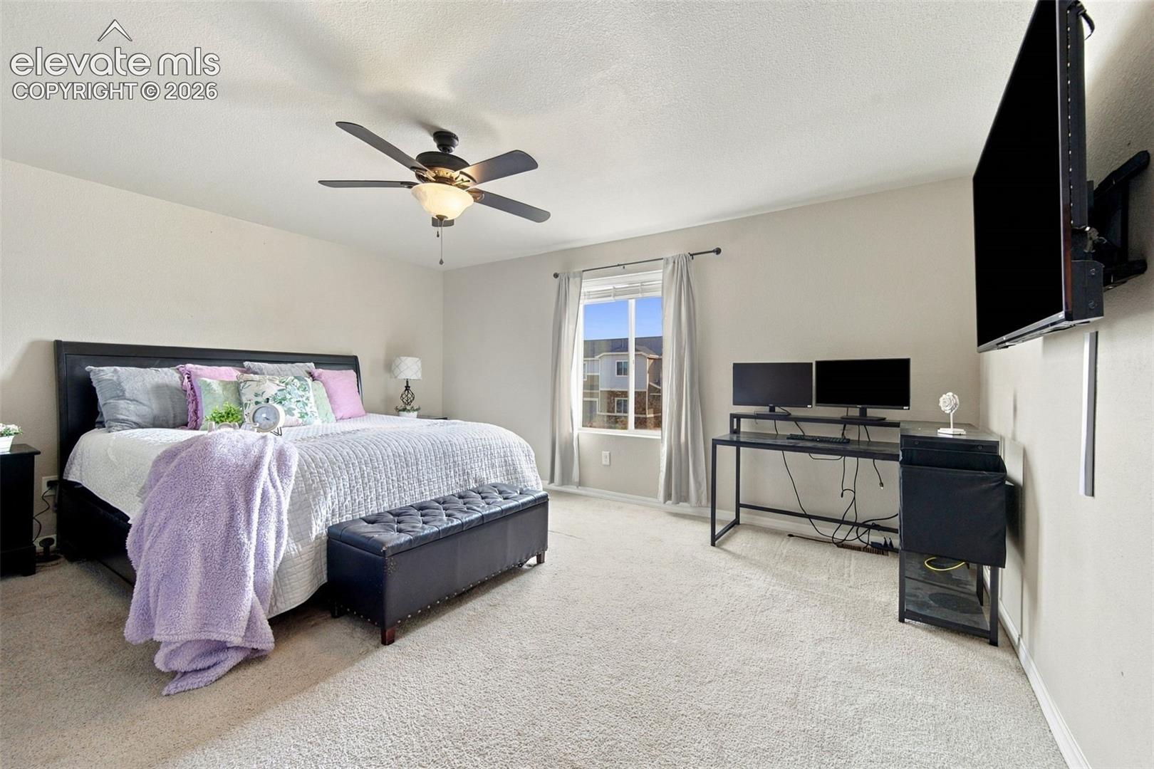 Neutral wall-to-neutral carpeted flooring, central ceiling fan with integrated lighting, and wall-mounted television bracket