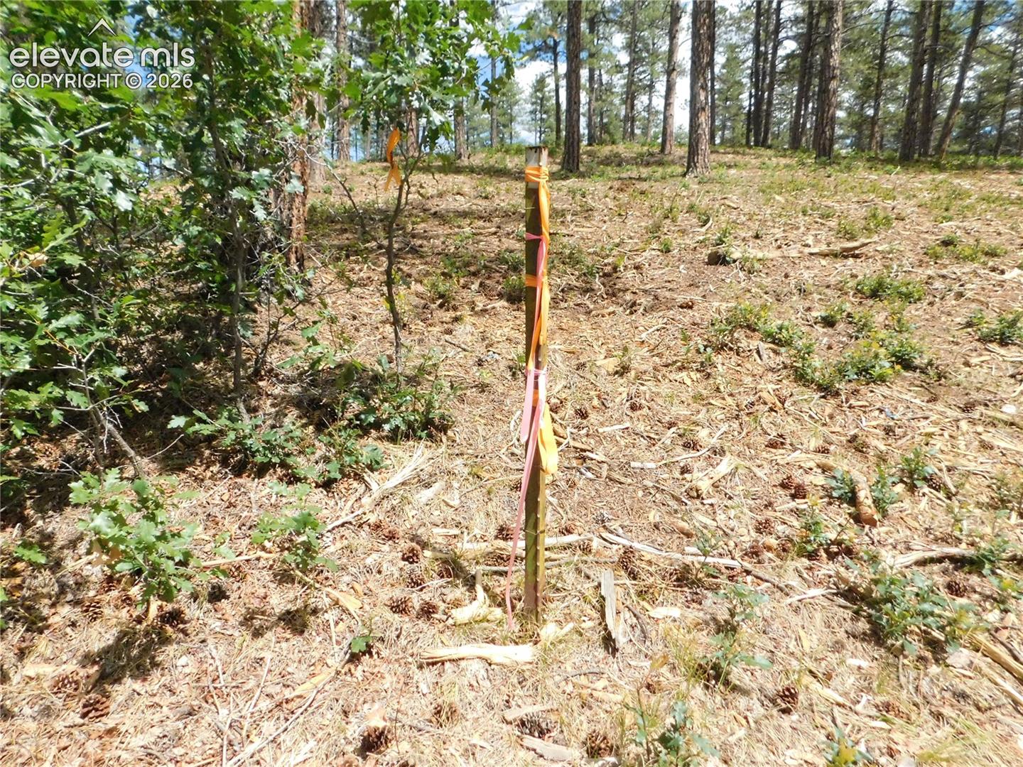 Photo 27 of 8139 Bannock Drive, Larkspur