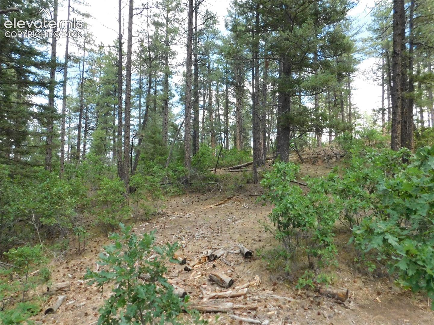 Photo 29 of 8139 Bannock Drive, Larkspur