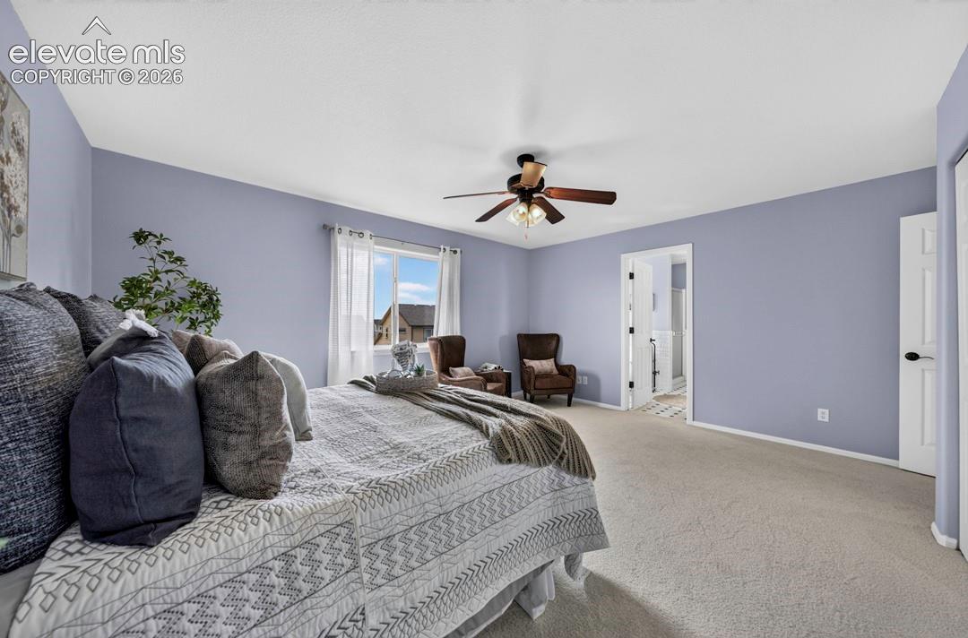 Room featuring wall-to-wall carpeting, a central ceiling fan with integrated lighting, and a single-hung window with dual-pane glass