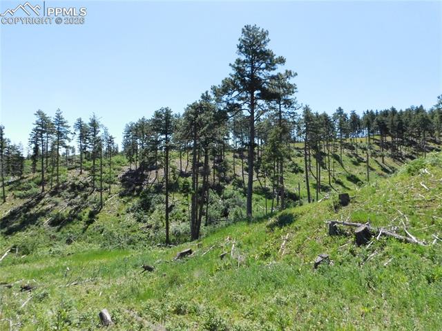 Photo 16 of 8249 Yuma Circle, Larkspur