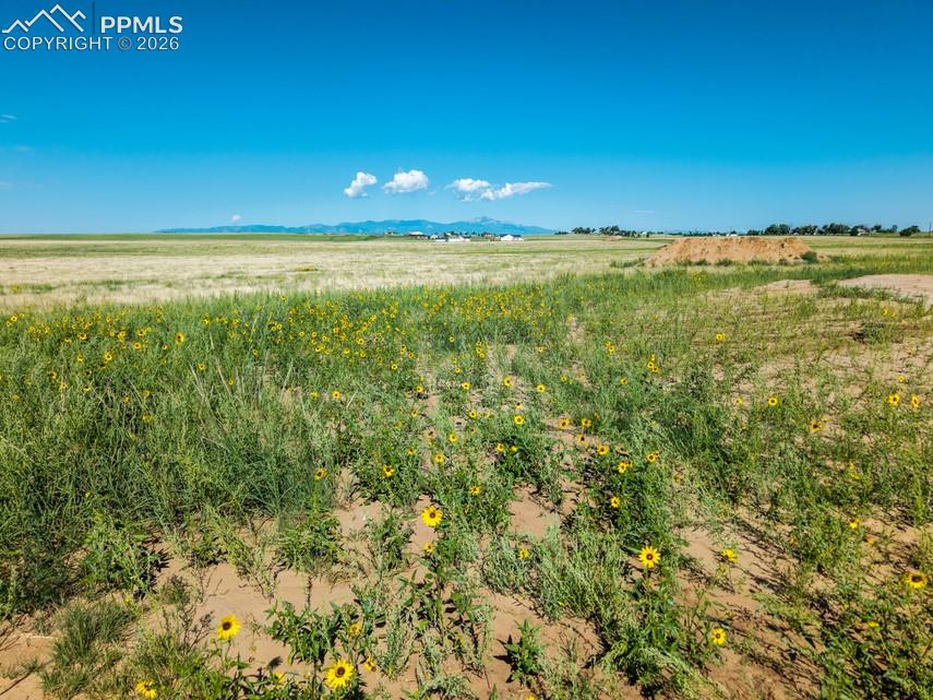 PEACEFUL PRARIE THAT STRETCHES TO THE PEAKS!