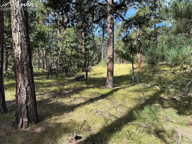Photo 7 of 17405 E Goshawk Road, Colorado Springs