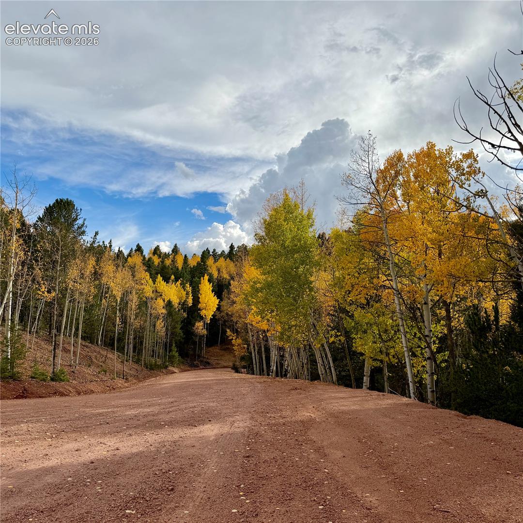 Road in front of lot