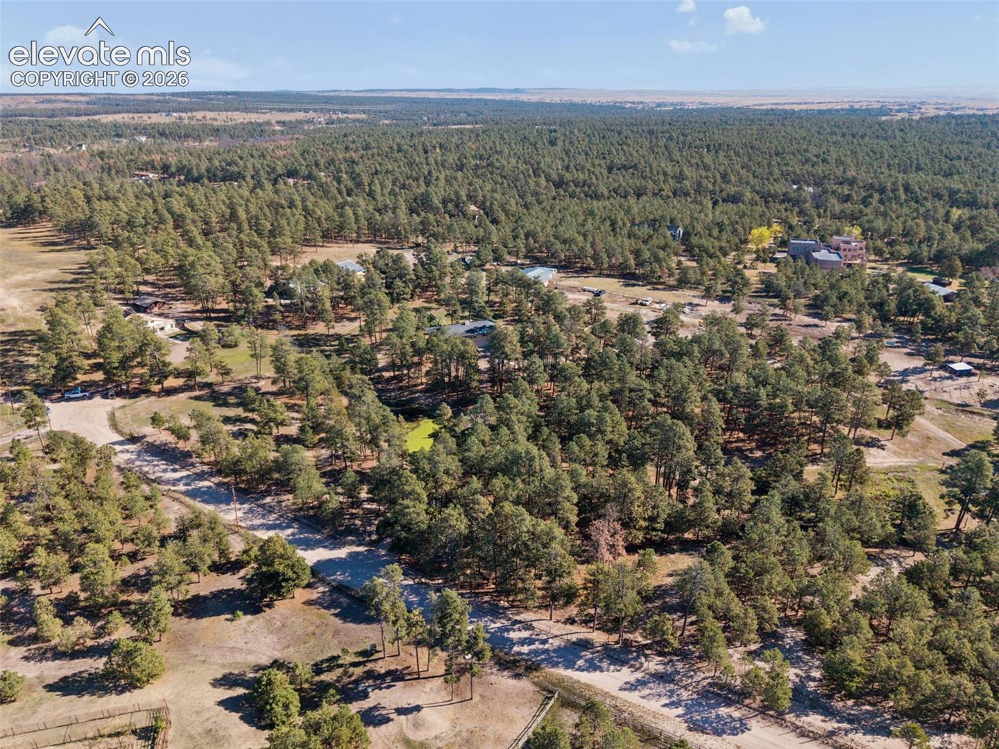 Expansive parcel of land featuring dense pine forest, varied topography, and established dirt road access