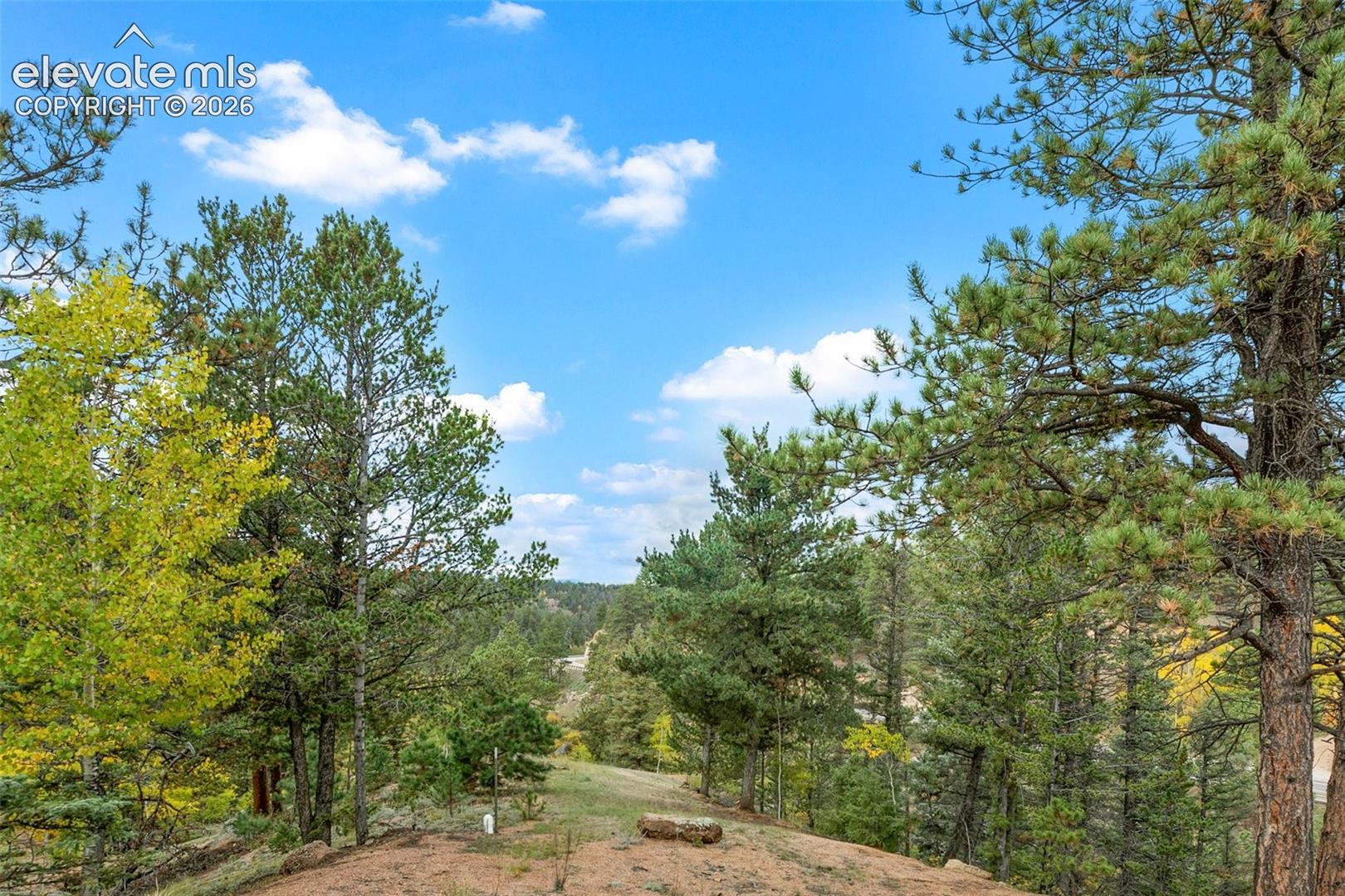 Expansive property featuring abundant mature trees, varied natural foliage, and a clear blue sky