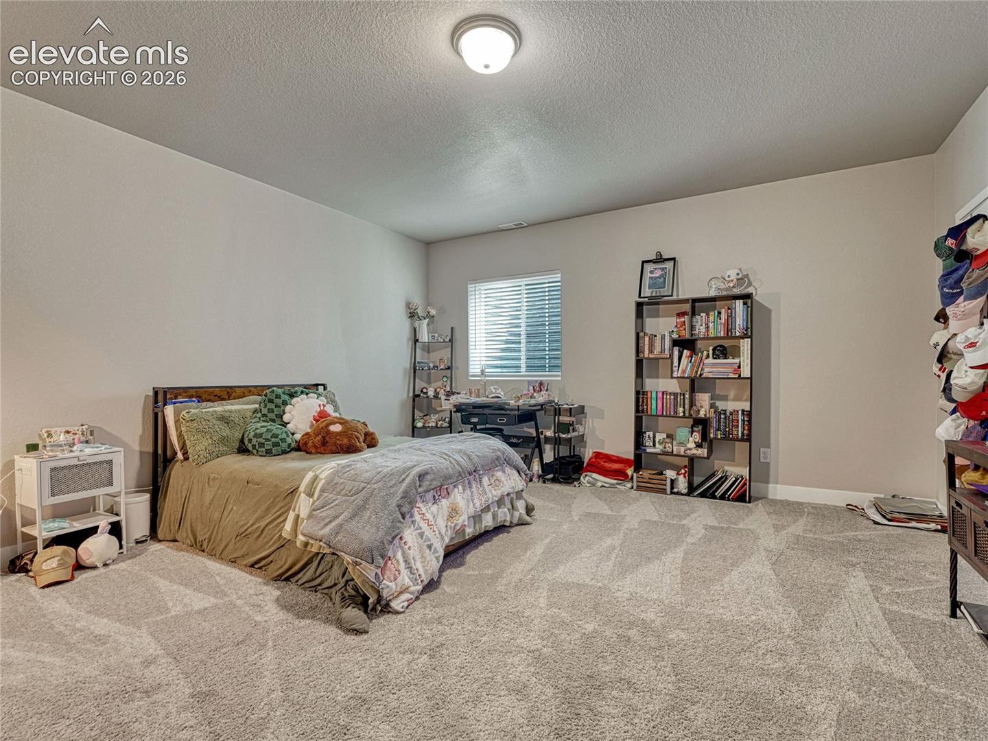 Photo 37 of 6830 Enclave Vista Loop, Colorado Springs