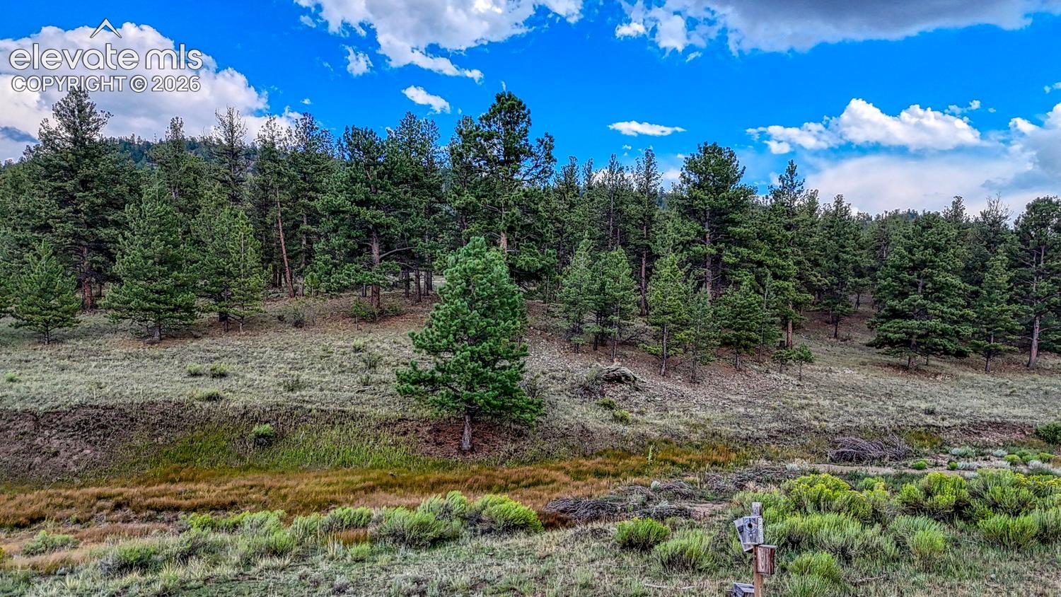 Photo 33 of 308 Dilley Lane, Westcliffe