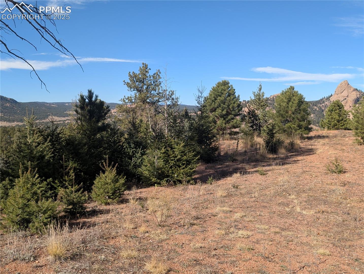 Photo 8 of 130 Lookout Road, Cripple Creek