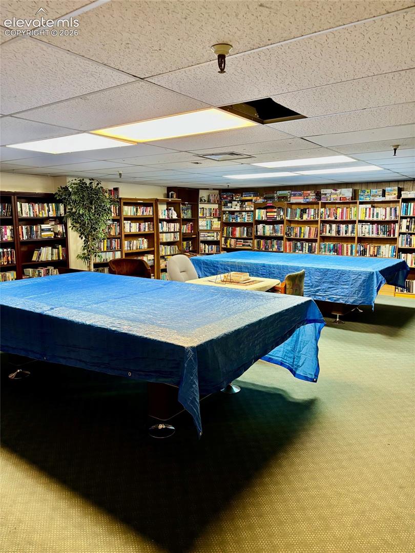 Library and Pool Table
