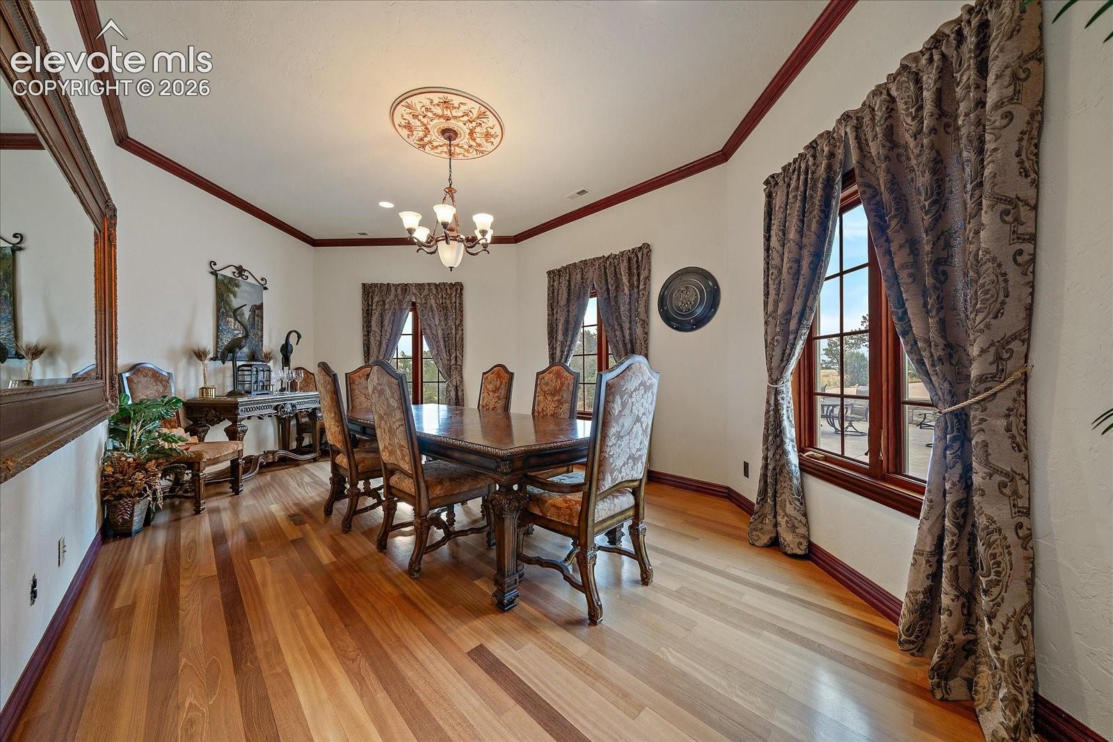 Photo 8 of 1175 Castle Pointe Drive, Castle Rock