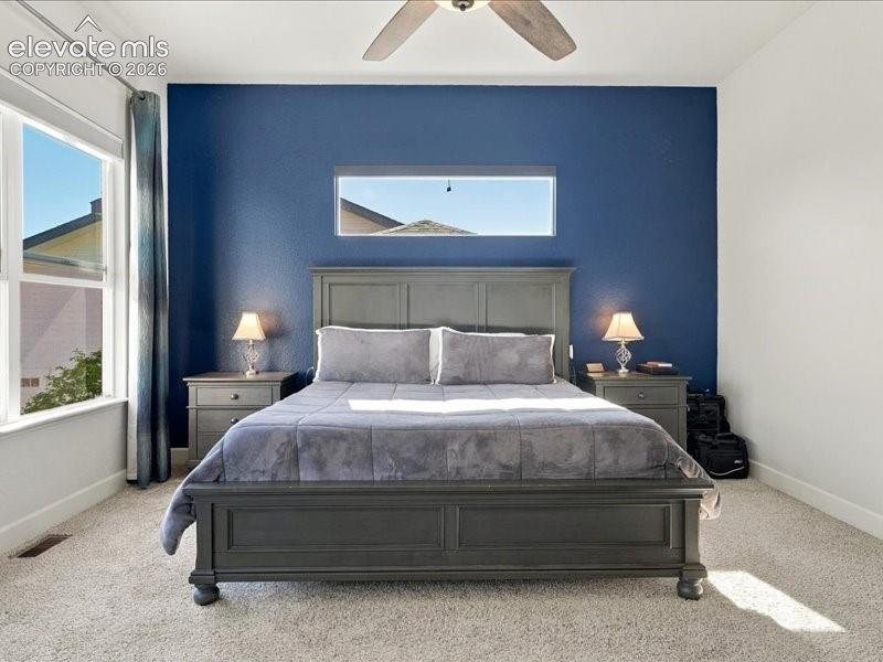 Textured accent wall, ceiling fan, and carpeted flooring