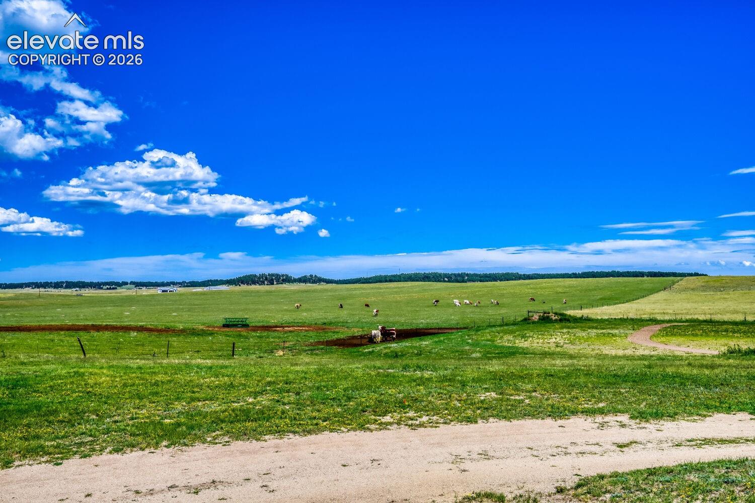 Photo 47 of 16325 Eastonville Road, Black Forest