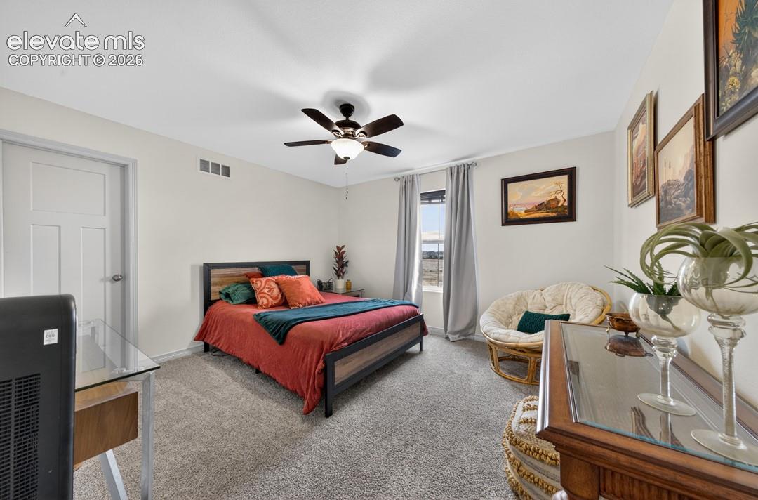 New carpet, ceiling fan, walk-in closet