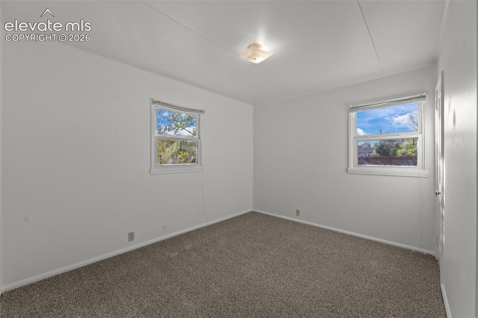 Neutral-toned room featuring neutral carpeting, two double-hung windows, and a central flush-mount light fixture