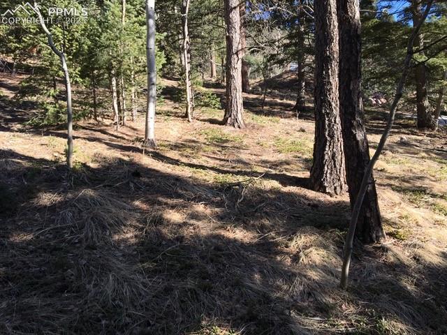 Photo 19 of 6800 Eagle Mountain Road, Manitou Springs