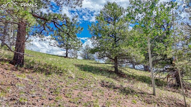 Photo 27 of 24 Wild Horse Circle, Cripple Creek
