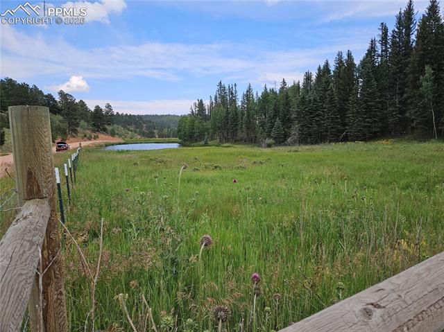Photo 12 of 702 Lake Drive, Divide