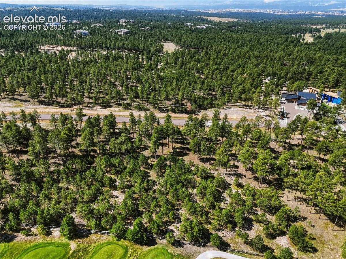 Photo 13 of 14931 Quartz Creek Drive, Colorado Springs