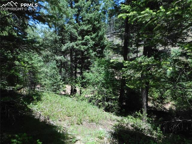 Photo 18 of 13175 Spruce Creek Circle, Larkspur