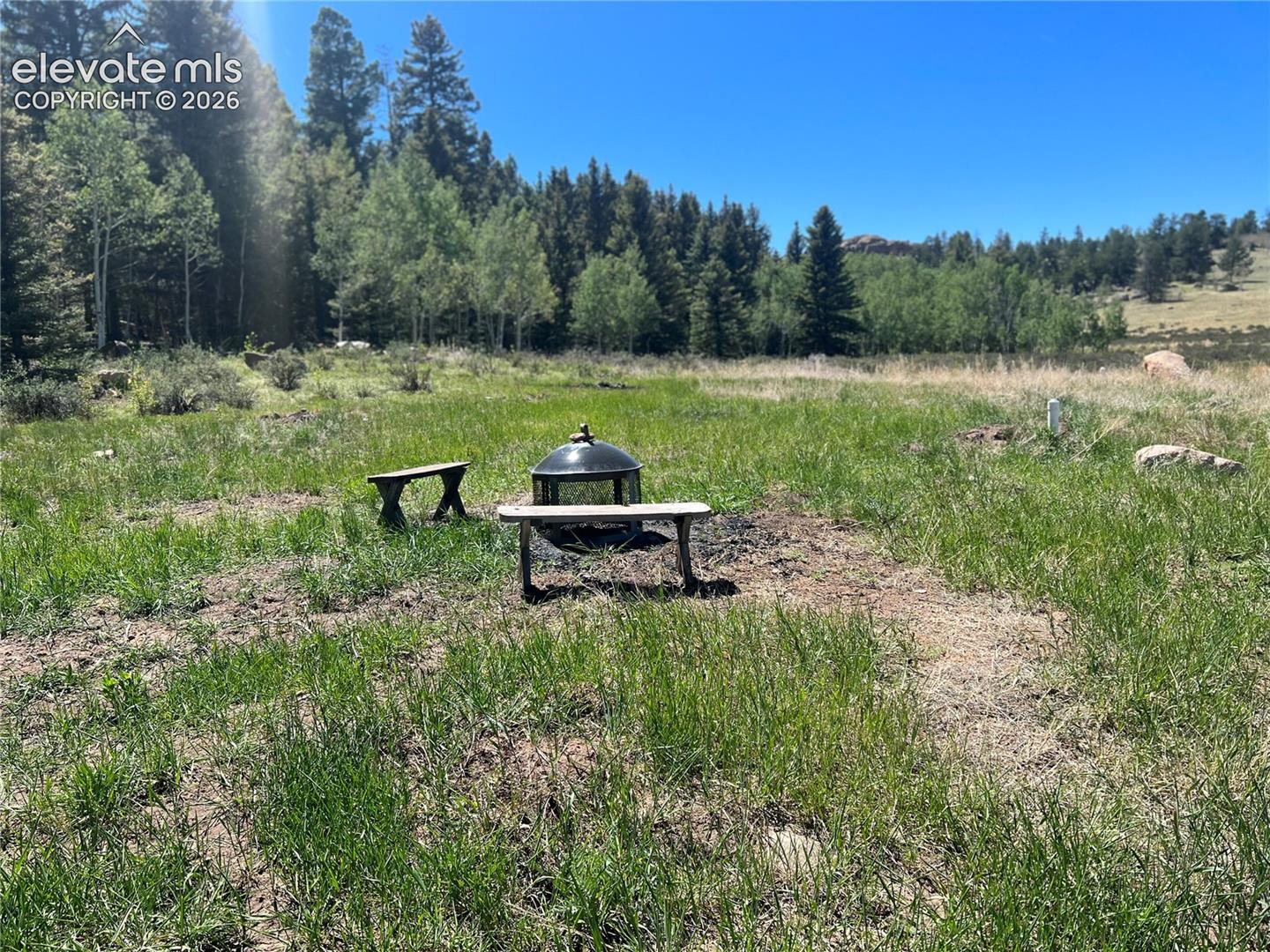 Expansive open terrain with natural vegetation and distant trees