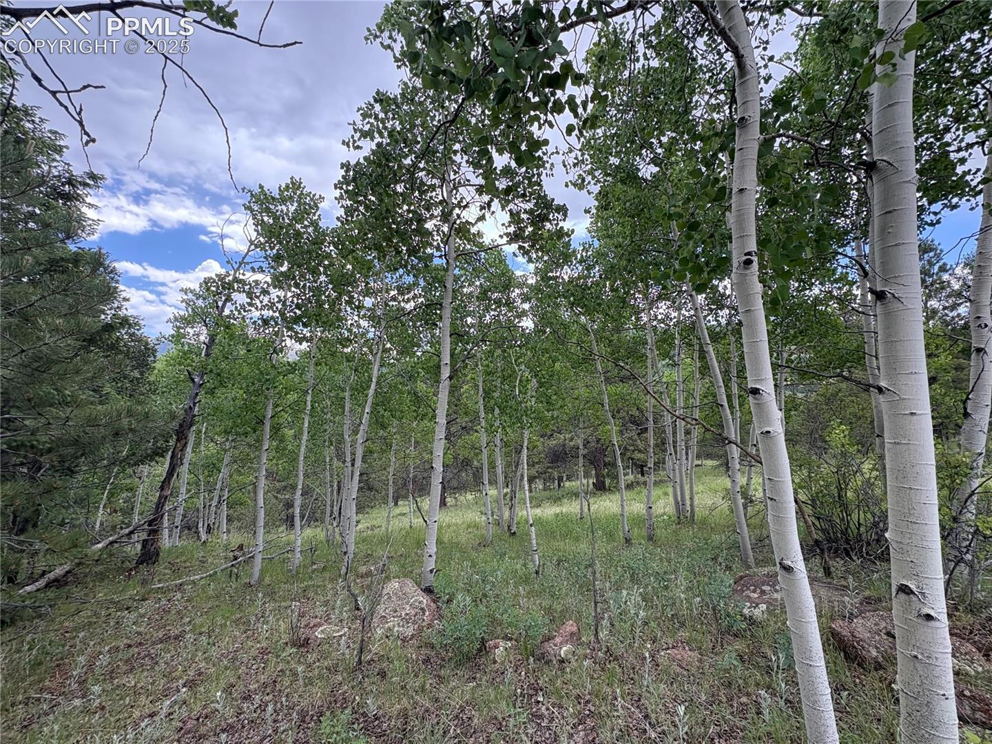 Photo 7 of 532 May Queen Drive, Cripple Creek