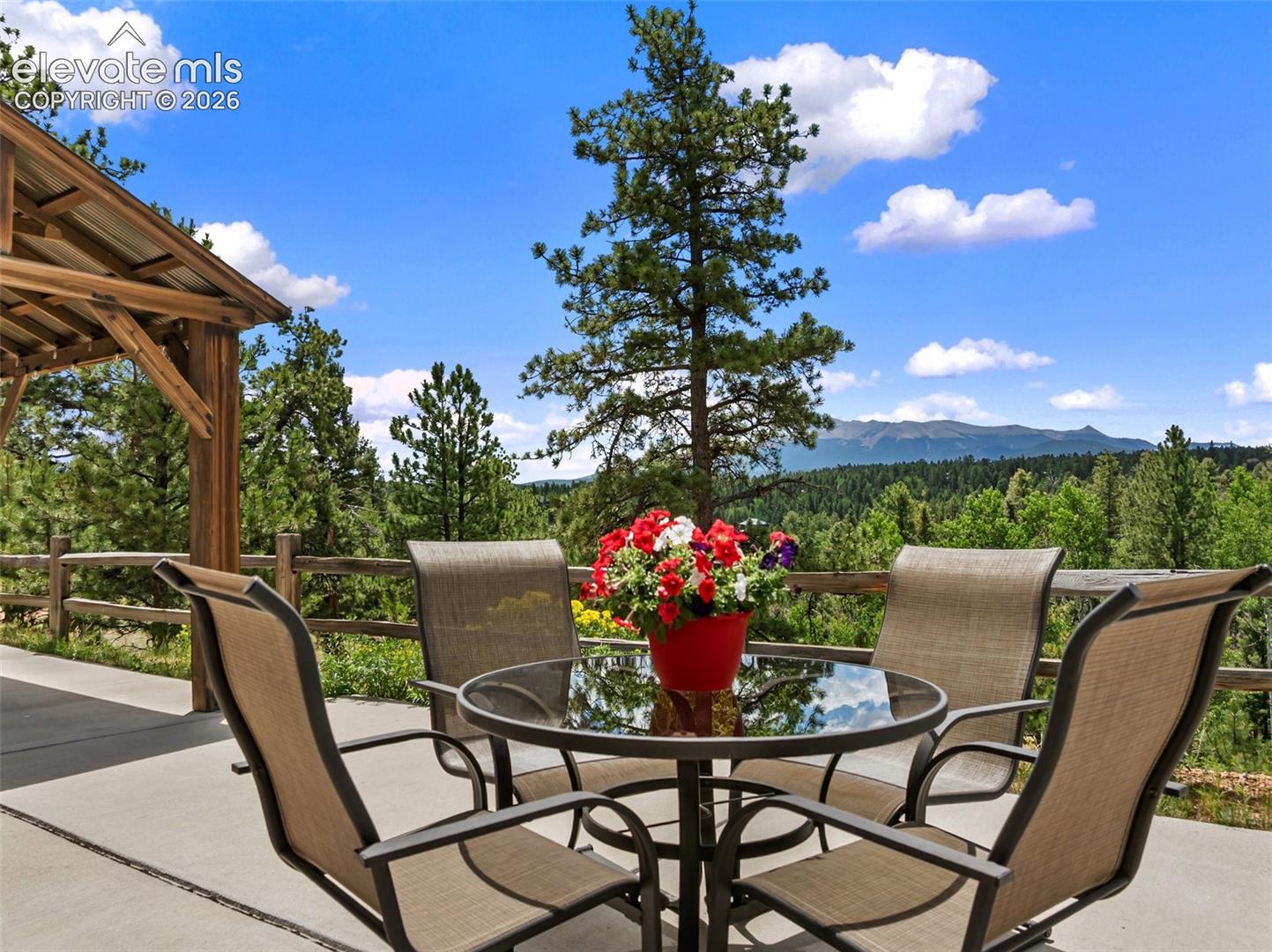 5542 North Rd, Divide, CO 80814
