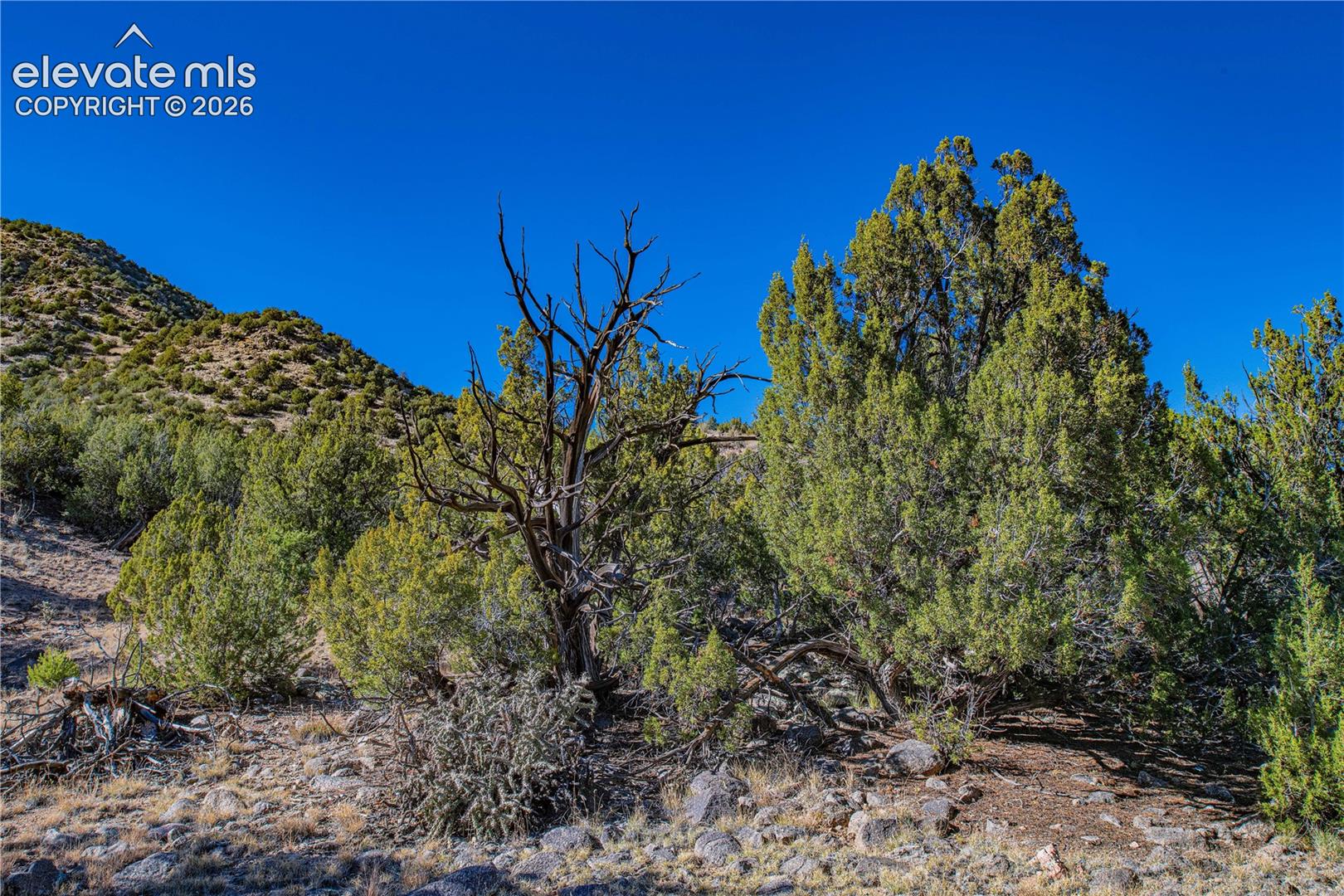 Property view of mountains