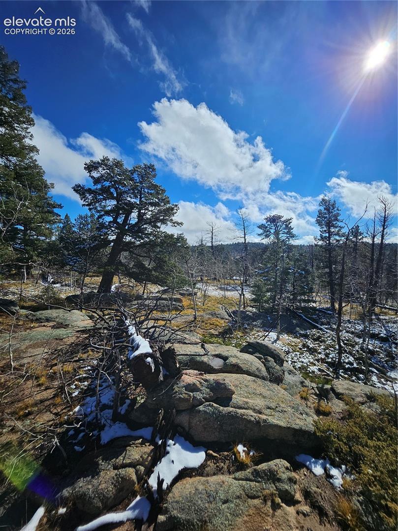 Expansive terrain featuring exposed granite rock formations, mature coniferous trees, and native vegetation
