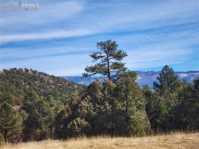 33066 Westwood Dr, Trinidad, CO 81082