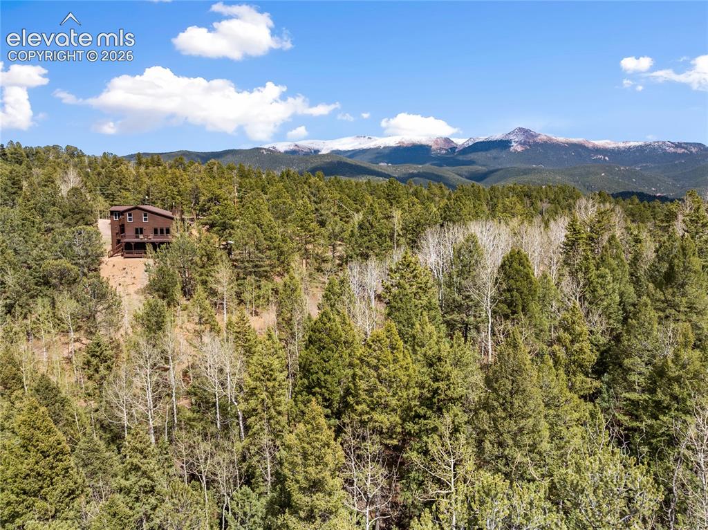 265 Homestead Rd, Divide, CO 80814