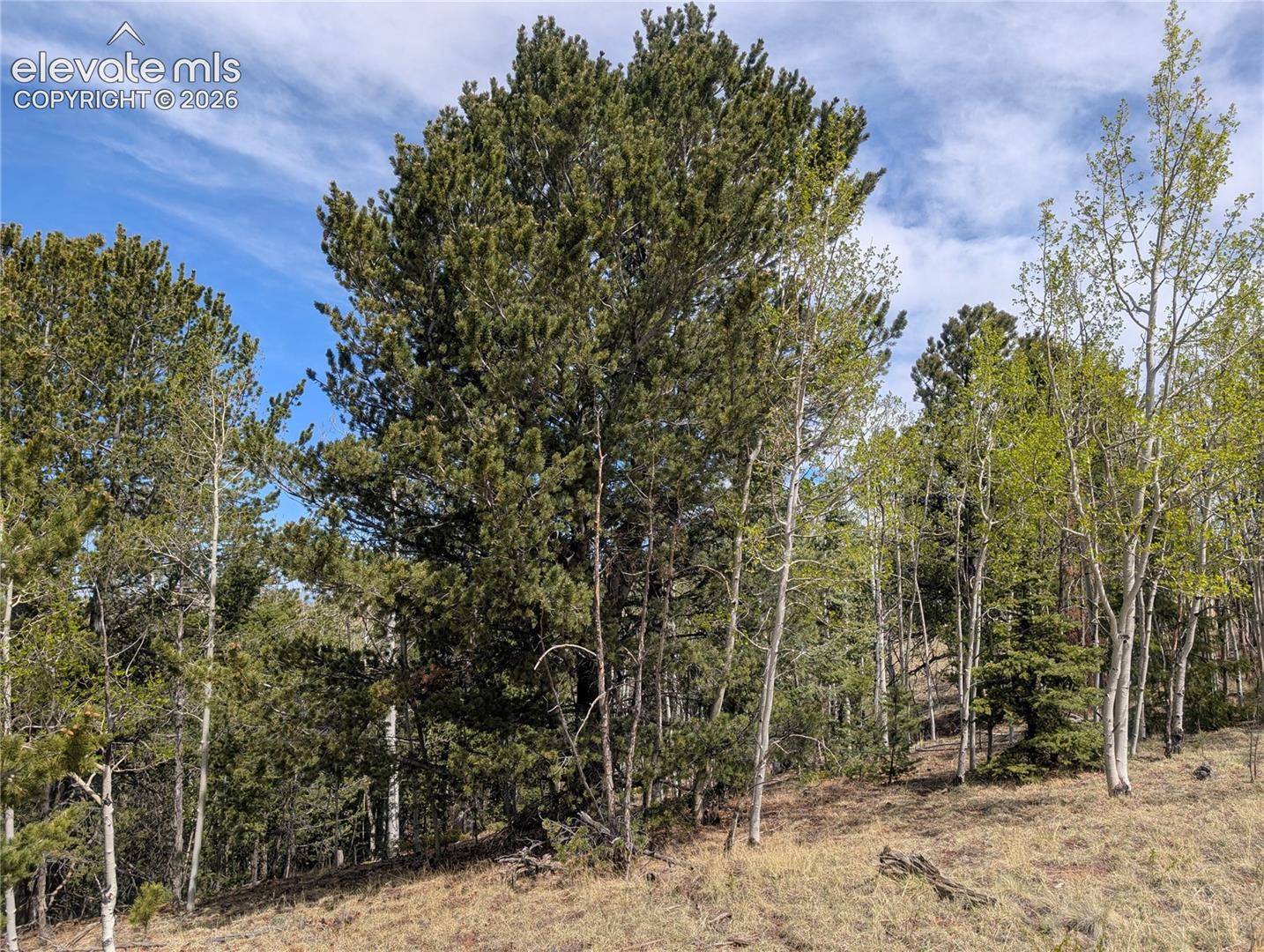 Photo 6 of 905 May Queen Drive, Cripple Creek