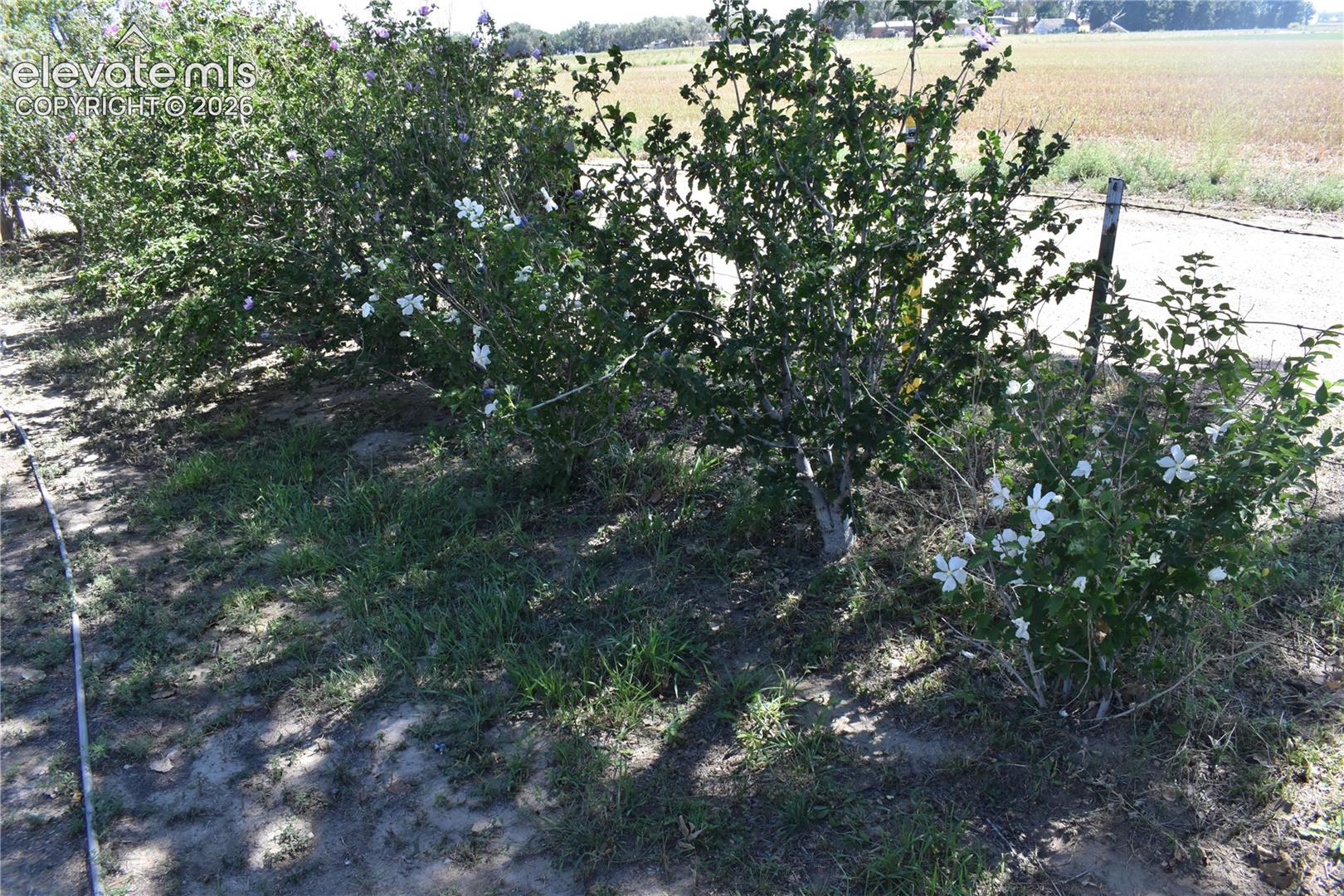 Photo 7 of 17651 County Road GG, Rocky Ford