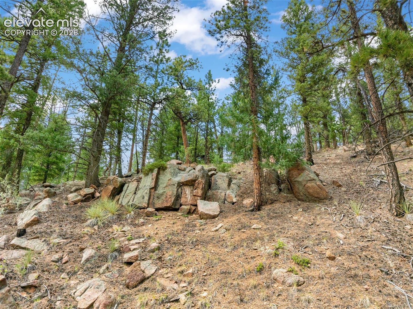 Photo 6 of 3843 County Road 33, Woodland Park